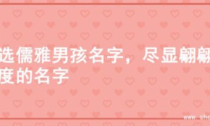 精选儒雅男孩名字，尽显翩翩风度的名字