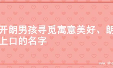 为开朗男孩寻觅寓意美好、朗朗上口的名字